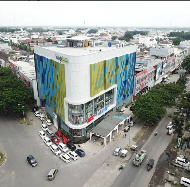 Living Plaza Ace Hardware